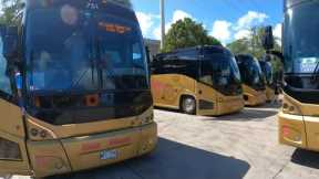 Motorcoach Tour | Pearl Harbor Arizona Memorial & Downtown Honolulu