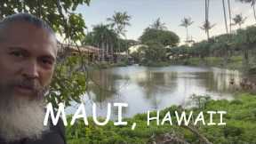 Things To Do While in Maui Hawaii Based on my Recent Trip | episode 1