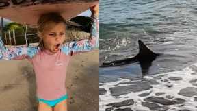 Little Girl Surfs with Big Shark in Hawaii