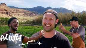 Brad Goes Farming in Hawaii | It's Alive: Goin' Places | Bon Appétit