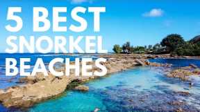 Where to Snorkel on Oahu, Hawaii | 5 Best Snorkel Spots on Oahu