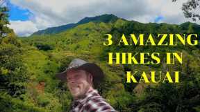 The best free hikes Kauai Hawaii for whale watching mountains and waterfall swimming / hiking trails