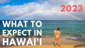 Hawaii Trip Planning 2023 | 9 Things To Know Before You Book Your Hawaii Vacation