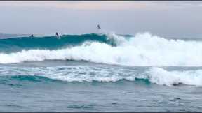 Surfing Haleiwa 1/10/2023 7:30-8:30am 🐋 North Shore Hawaii / Occasionally random big waves