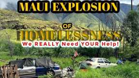 Maui Hawaii News - EXPLOSION of Homeless