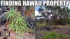How We Found Our Property On The Big Island Of Hawaii :: Hawaiian Ocean View Estates One Acre Lot!