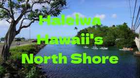 What to do in Oahu Hawaii- Check out the North Shore and Haleiwa!