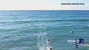 Apparent large shark swims among surfers off Ewa Beach
