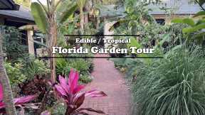 Florida Organic Edible / Tropical Garden Food Forest Tour | April Zone 10a