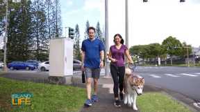 INCORPORATE WALKING INTO YOUR DAILY ROUTINE | Ulupono Initiative