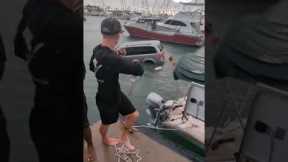 Sailboat crew rescues tourists from car sinking in Hawaiian harbor