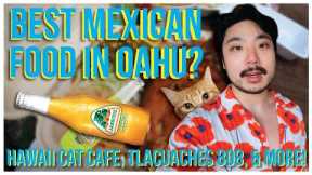 Hawaii Cat Cafe, Tlacuaches 808, Cuckoo Coconuts, & More! | OAHU, HAWAII | VLOG DAY 3
