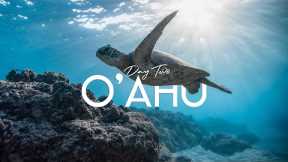 O'ahu, Hawaii | Day Two  - Pearl Harbor Memorial, Dole Plantation, Laniakea Beach, and Shark's Cove.