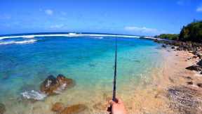 Fishing, Surfing and Exploring Hawaii!
