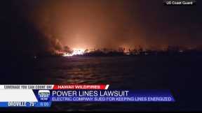 Main electric provider in Hawaii facing lawsuit in connection to deadly Maui wildfire