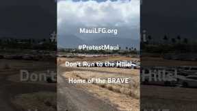 Maui Needs Brave People to Come NOW!#ProtestMaui