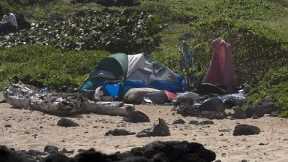 Maui Homeless ARE Everywhere Thanks to Fires - Large Landowners Ignored Brush Abatement