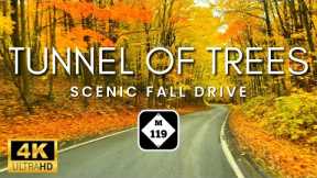 WORLD FAMOUS Tunnel Of Trees Fall Color Tour | Harbor Springs Michigan Scenic Drive | Rain Sounds