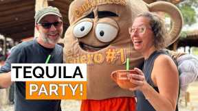 Fantastic day-trip to Tequila, Mexico! | What to expect