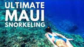 5 Best Maui Snorkeling Spots | Plus 2 Beginner, 4 Advanced, & More