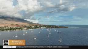 Should tourists travel to Maui?