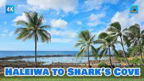 Oahu North Shore Driving 🌈 From Haleiwa Historic Town to Shark's Cove ⛱️ Popular Spot for Snorkeling