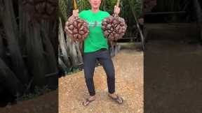 The Most Unique Fruit in the World - Here's How You Eat It! #Shorts
