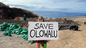 We Must All Save Olowalu Maui Together - sign the petition at VetoMauiDump.com