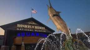 Wonders of Wildlife National Museum & Aquarium