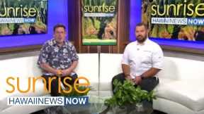 Hospitality group discusses how it's redefining Hawaii's culinary scene