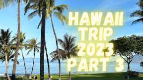 Hawaii Summer 2023 - Part 3 || Wailea Beach Resort 🏝️|| Maui, USA