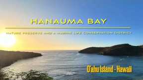 Nature Preserve Hanauma Bay, Hawaii- Discovering Marine Life by Snorkeling in O’ahu island -HAWAII