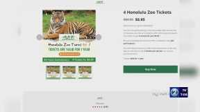 These Honolulu Zoo tickets are too good to be true
