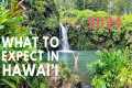 Things to Know Before Going to Hawaii 