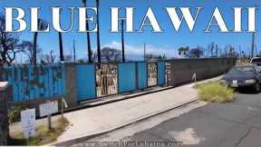 Maui Fires - Welcome to the New BLUE Hawaii!