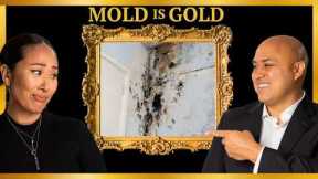 Mold In Hawaii Homes Can Be Good If...