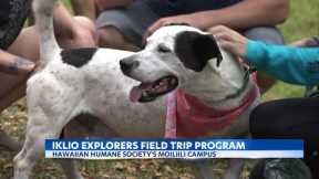 Hawaiian Humane Society’s ʻĪlio Explorers program: fields trips to forever homes