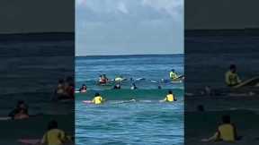 Newbie Surfers at Waikiki Beach #hawaii #waikikibeach #paradise #oahu #paradiseisland #surfing