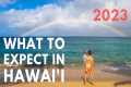 Hawaii Trip Planning 2023 | 9 Things