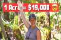 DIRT CHEAP Land in HAWAII (we tour
