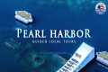 Guided Tours of Pearl Harbor &