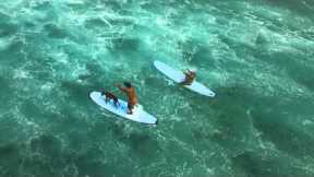 Surfing at Kahalu'u Beach Park, Kona Hawaii