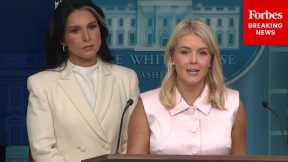 BREAKING NEWS: Karoline Leavitt & Tulsi Gabbard Hold White House Press Briefing After Obama Report