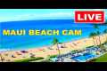 🐳  LIVE 24/7  🌊  TSUNAMI WATCH  *