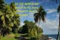 AVOID this part of Big Island of