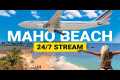 World famous Plane Beach ✈️ -  Maho