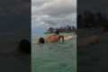I DON'T KNOW HOW TO SURF