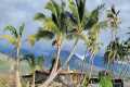 House hunting Maui Hawaii!