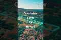 Ocean View Farm Land for Sale in
