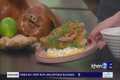 Food2Go: The Pig and the Lady is